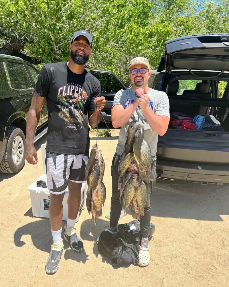 场高强度比 场高强度比