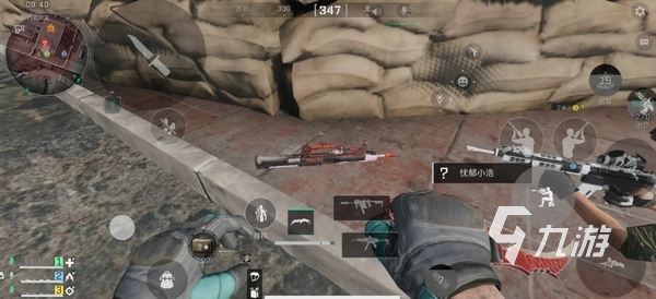 尔西未来的 尔西未来的