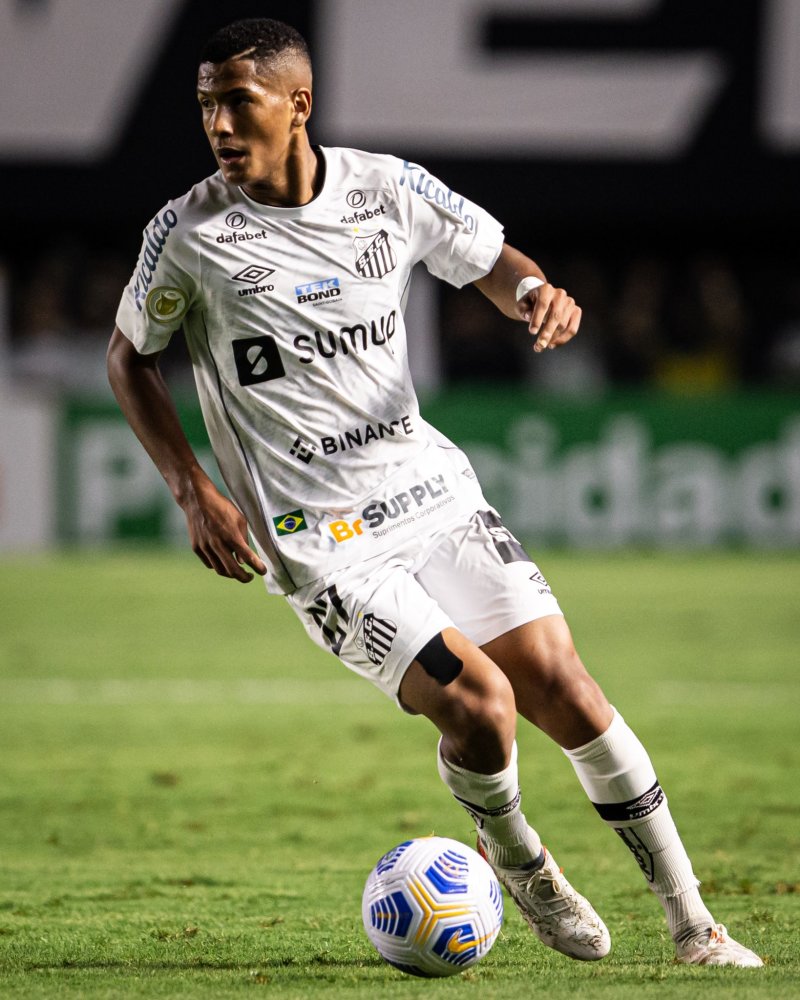 暂停规则 暂停规则